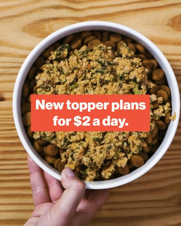 Video ad: a hand holds a bowl of fresh food, captioned New topper plans for $2 a day.