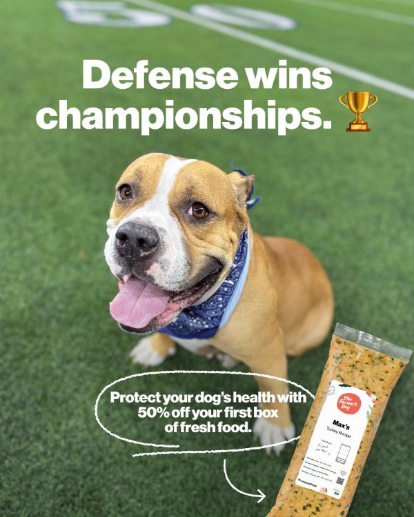 Static ad: a dog on a football field under the line Defense wins championships.