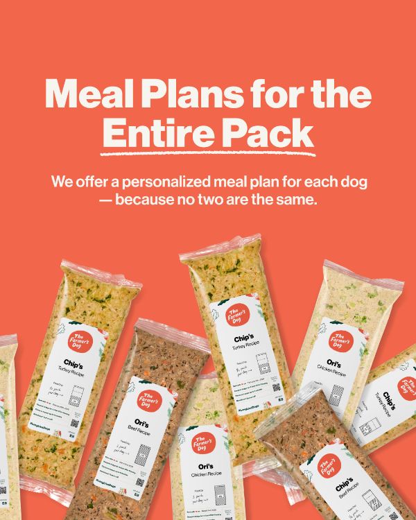 Static ad: food packs on an orange background under the line Meal Plans for the Entire Pack.
