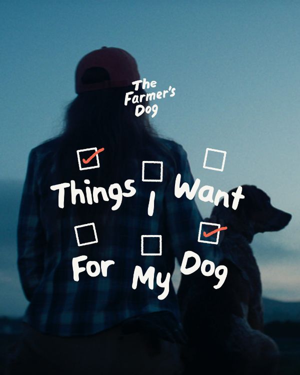 Carousel ad, first card: a dog at dusk under the handwritten line Things I Want For My Dog.